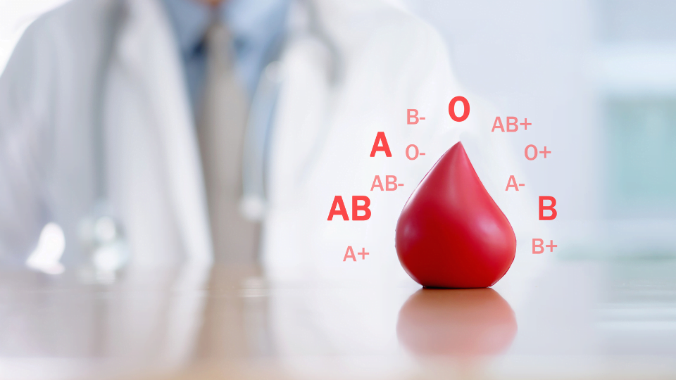 Welche Blutgruppe passt zu mir?